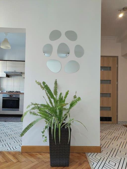 Domin Domin Apartamento Częstochowa Exterior foto